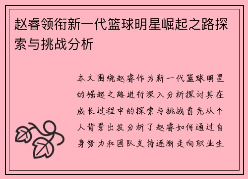 赵睿领衔新一代篮球明星崛起之路探索与挑战分析